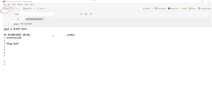 tbird_draft2